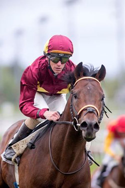 Brownie (FR) sejrer i Norsk 2000 Guineas
